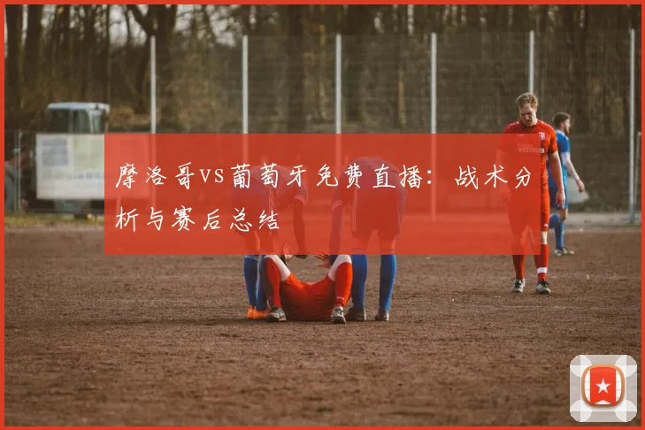 摩洛哥vs葡萄牙免费直播：战术分析与赛后总结